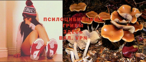 твердый Алексин