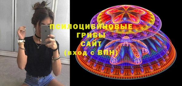 PSILOCYBIN Алексеевка