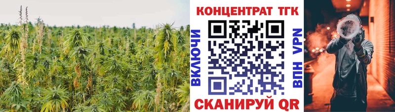 ТГК концентрат  Черноголовка 