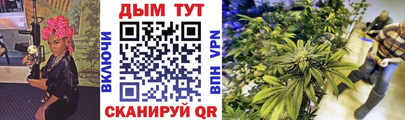 купить закладку  Черноголовка  Конопля OG Kush 
